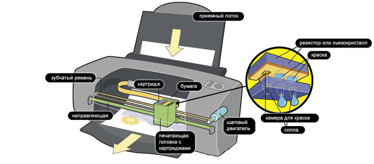 Как используется сублимационный принтер