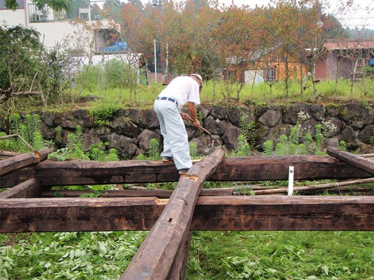 Япония: венец развития деревянной архитектуры