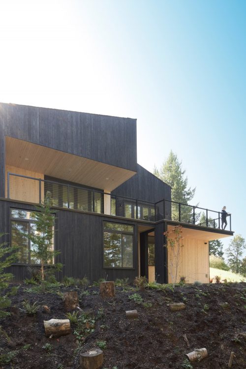 В штате Вашингтон появился дом с обожженными деревянными досками