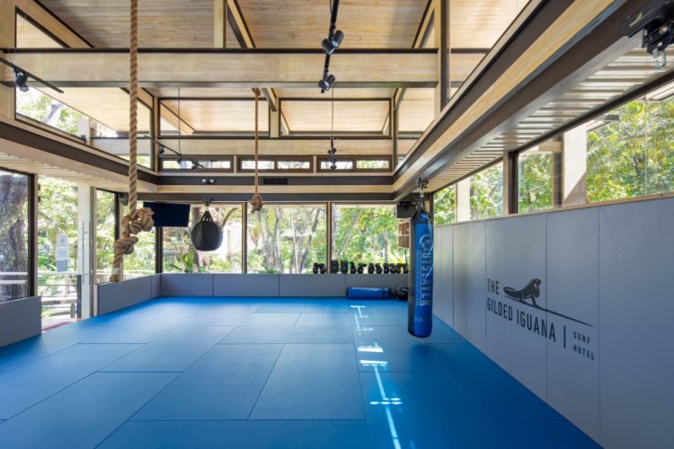 Studio Saxe создала покрытый растениями спортивный центр в отеле Коста-Рики