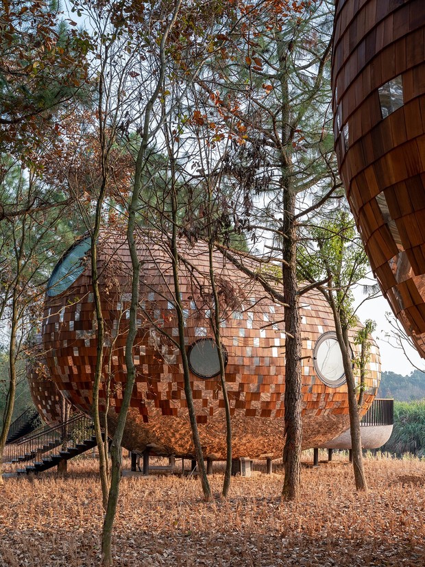Архитектурное искусство: домики-грибы для отеля Tree Wow в Китае